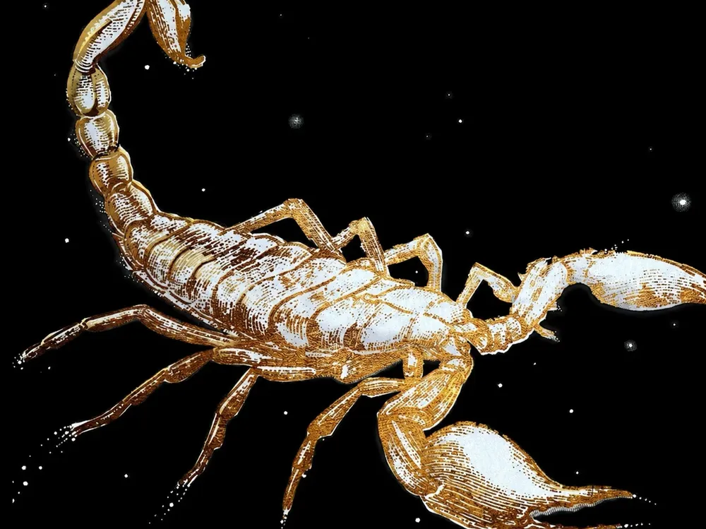 escorpión