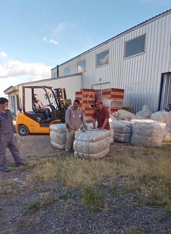 Con un precio récord, Chubut y Río Negro realizaron ventas conjuntas de lana mohair enmarcadas en el Programa Nacional de Ley Caprina (1)
