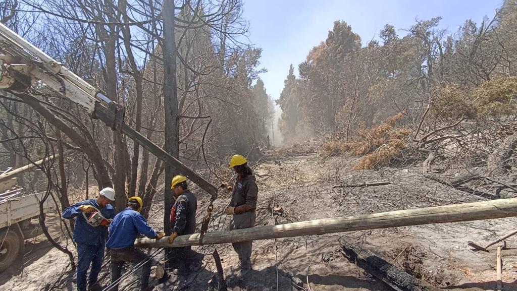 Reparación líneas eléctricas afectadas por los incendios en la cordillera