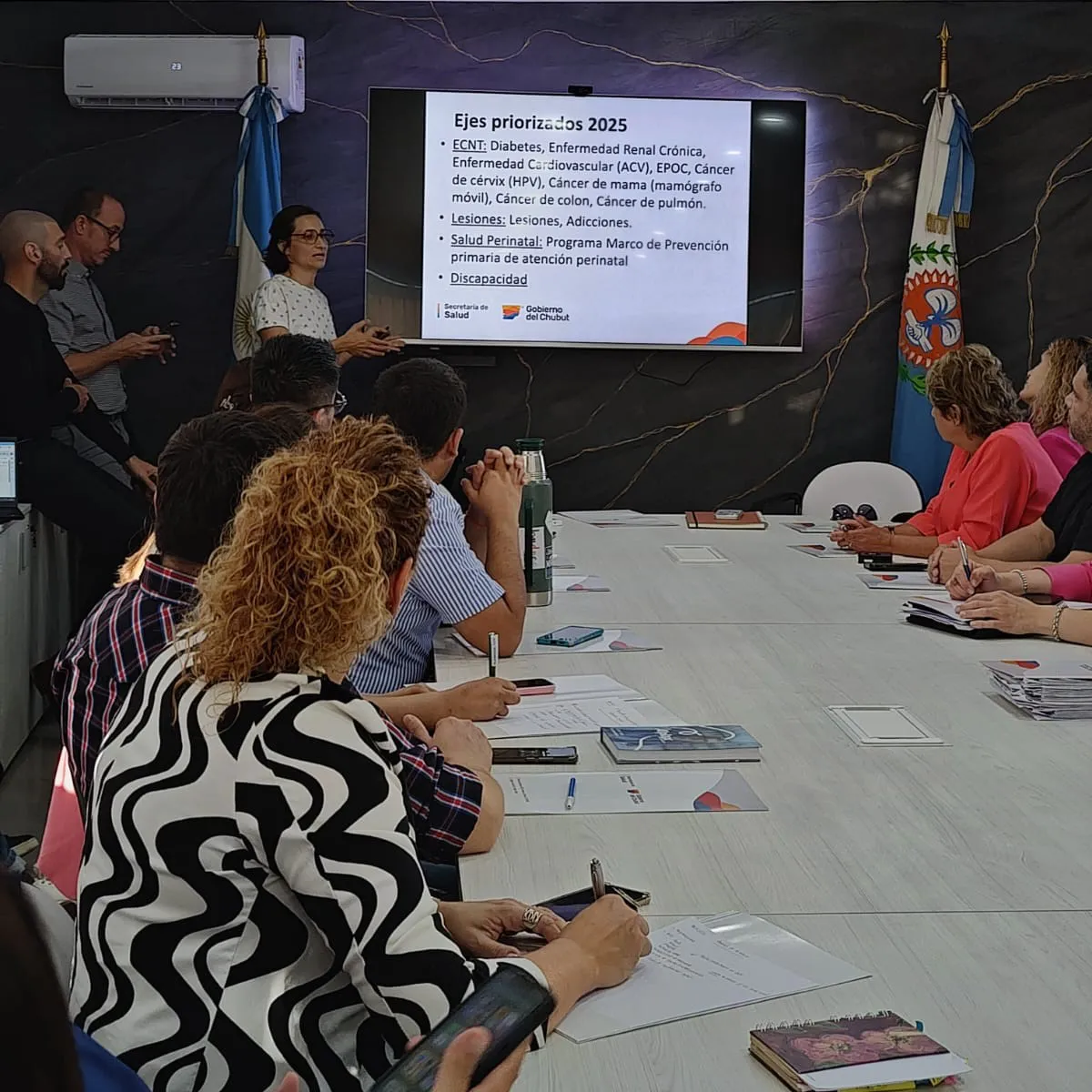 lanzamiento vacunacion antigripal 2025 (3)