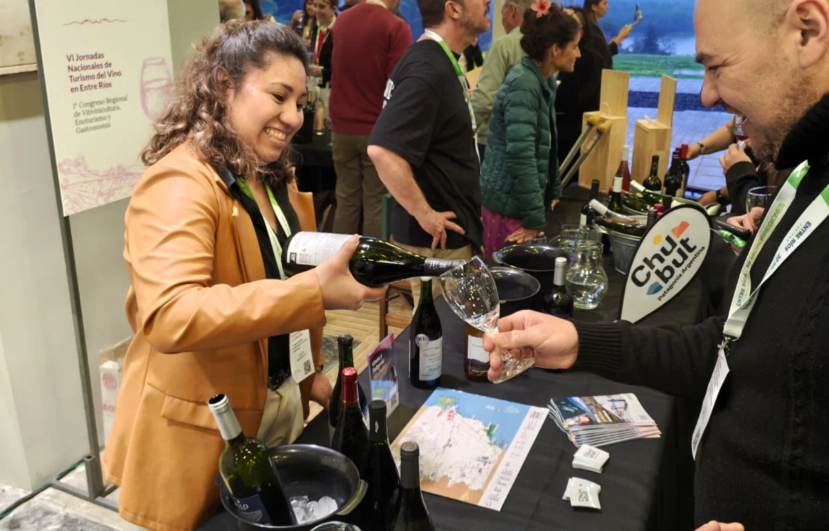 Turismo del vino 2