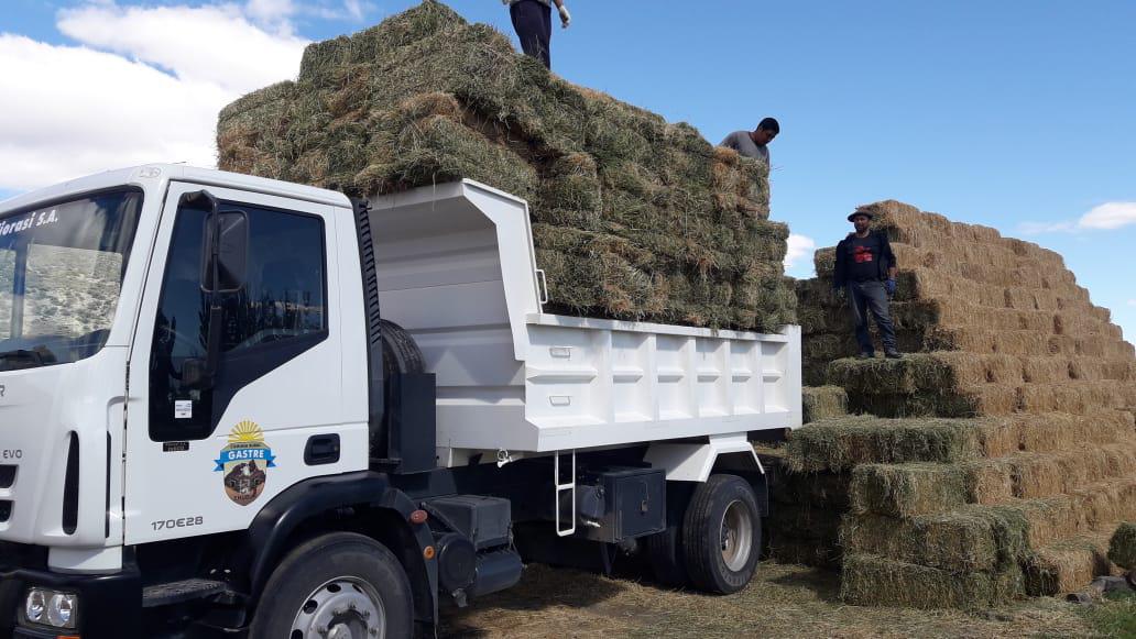 Fardos de pasto para Comunas afectadas por la sequia (2)
