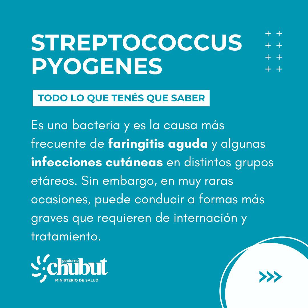 placa 1