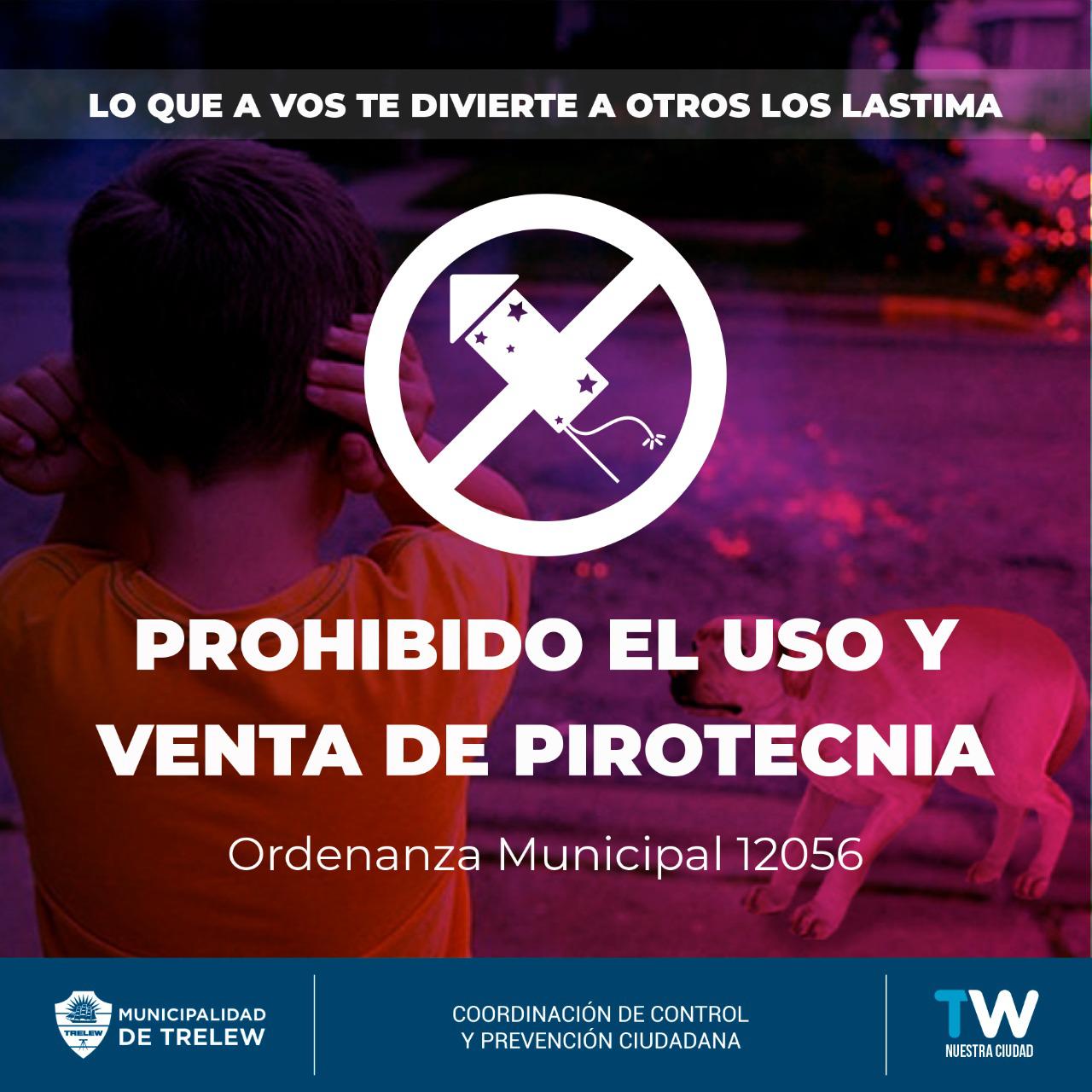Ordenanza pirotecnia