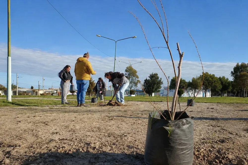 SEMANA DEL ÁRBOL