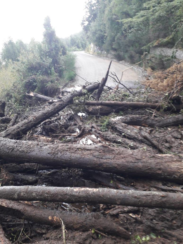 Ruta 71 (2)