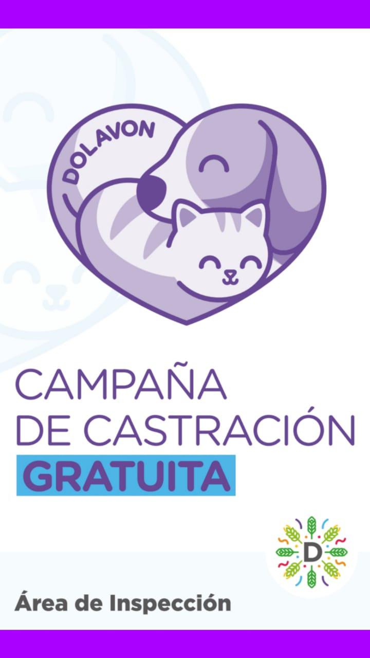 Flyer Castraciones