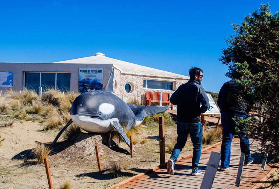 Foto 1 - Ticket Doble Día Península Valdés