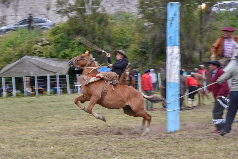 CARRENLEUFÚ. FIESTA DEL SALMÓN (1)