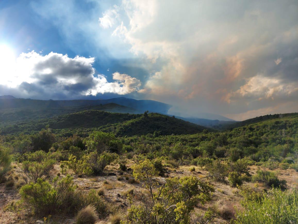 incendio en Loma del Medio
