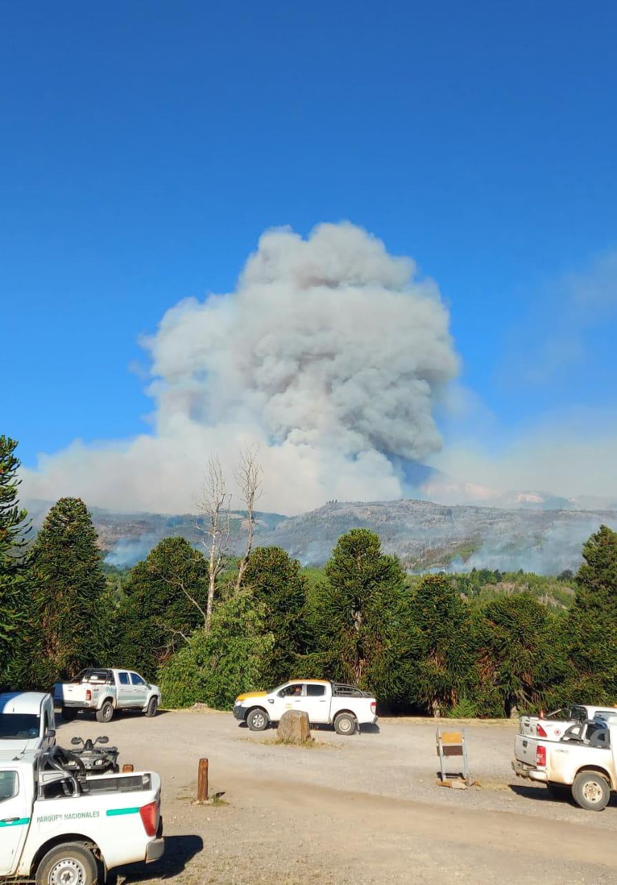 INCENDIO