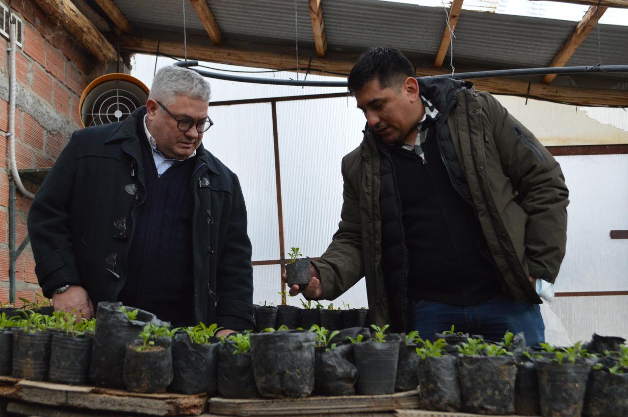 Chubut Sanidad Vegetal (2)