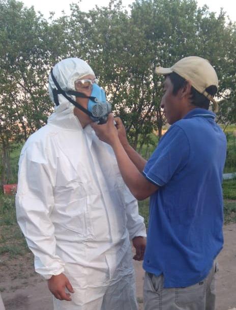 Cushamen Provincia continúa con tareas de control de la plaga tucura sapo (1)
