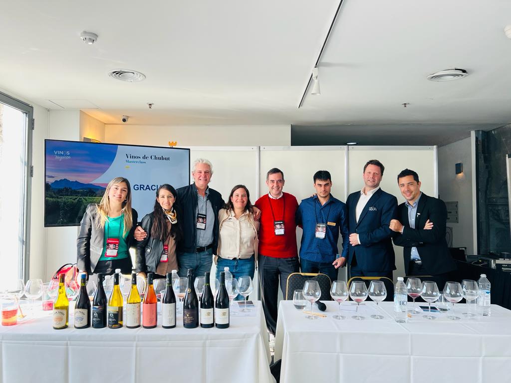 EXPO VINOS (1)