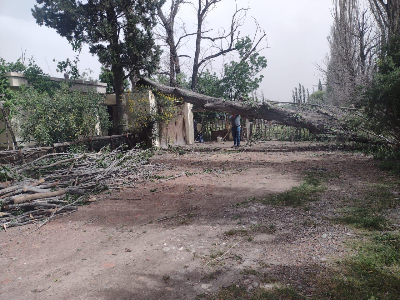 Temporal de Trelew