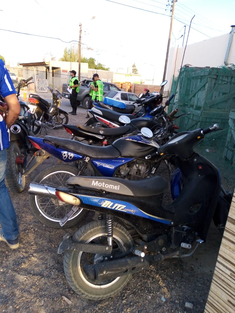 MADRYN 12