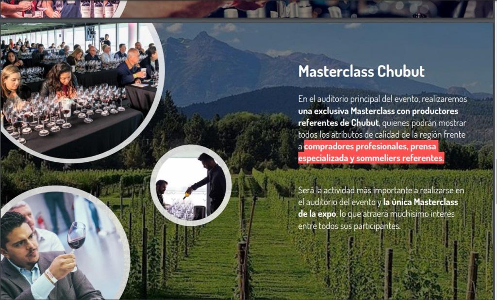 vinos y negocios 2