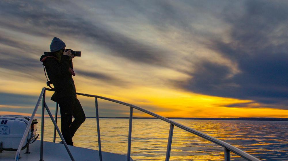 WhatsApp Image 2023-11-30 at 11.30.01