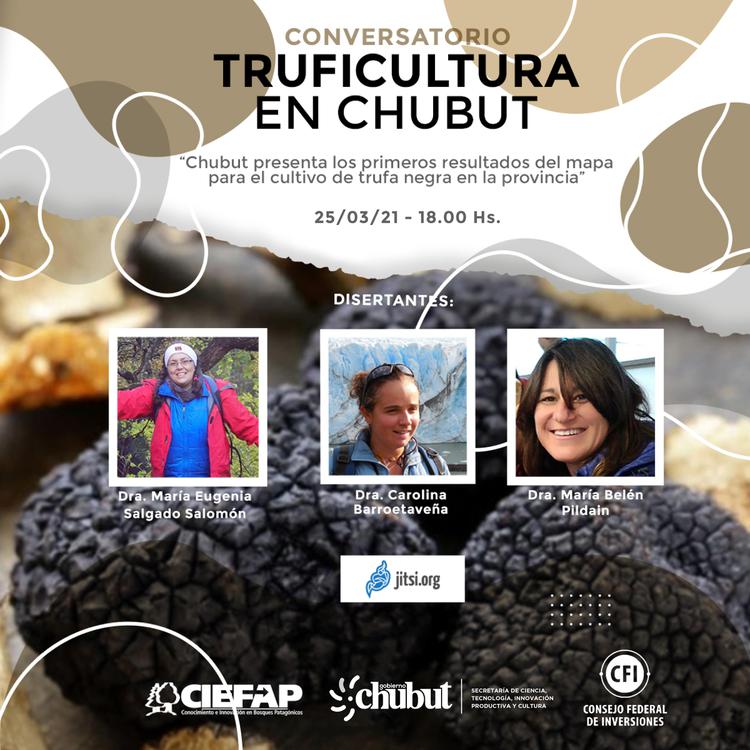 Trufas negras en la Provincia