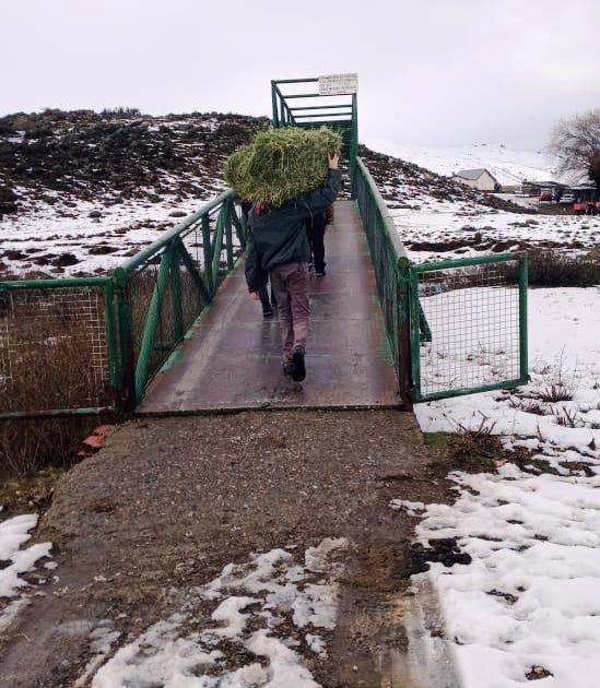 Petrominera SE Cushamen (1)