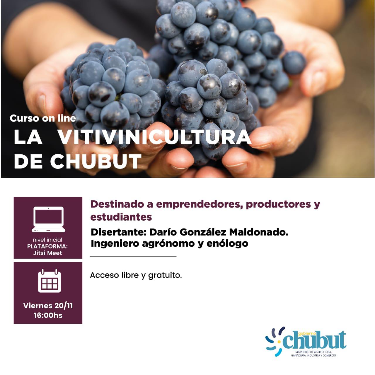 MAGIyC. Flyer Curso Vitivinicultura
