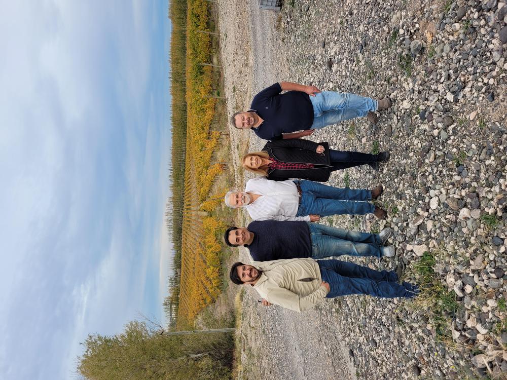 Caminos del Vino 2
