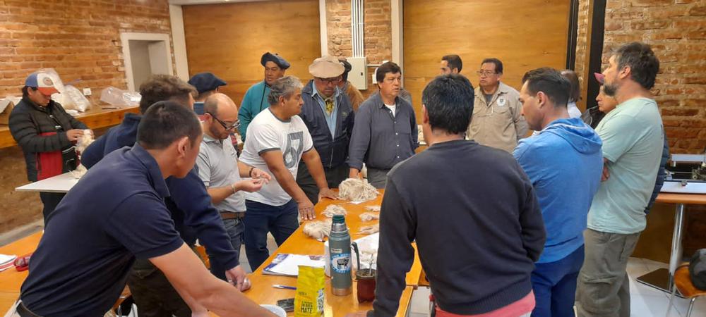 Provincia participó de una reunión técnica del Programa Mohair (1)