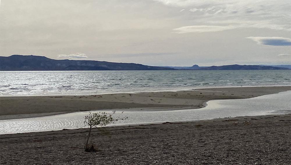 lago-musters