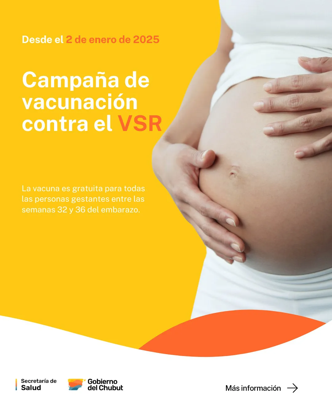 Foto 1 - Vacuna VSR (1)
