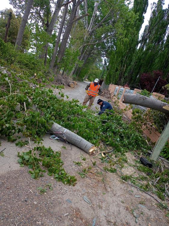 WhatsApp Image 2023-10-29 at 13.35.42