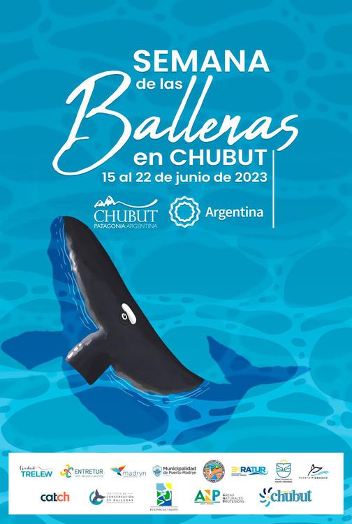 9-6 Semana de las ballenas