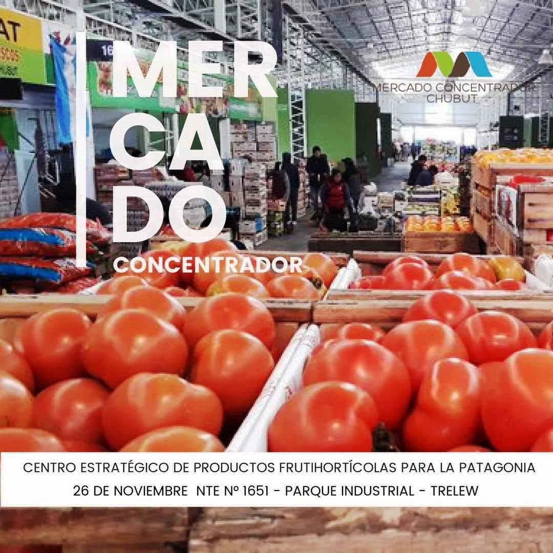 Mercado concentrador (2)