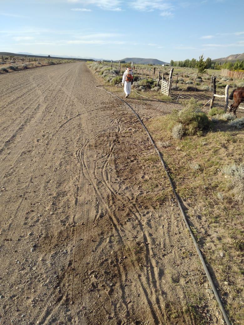 Cushamen Provincia continúa con tareas de control de la plaga tucura sapo (3)