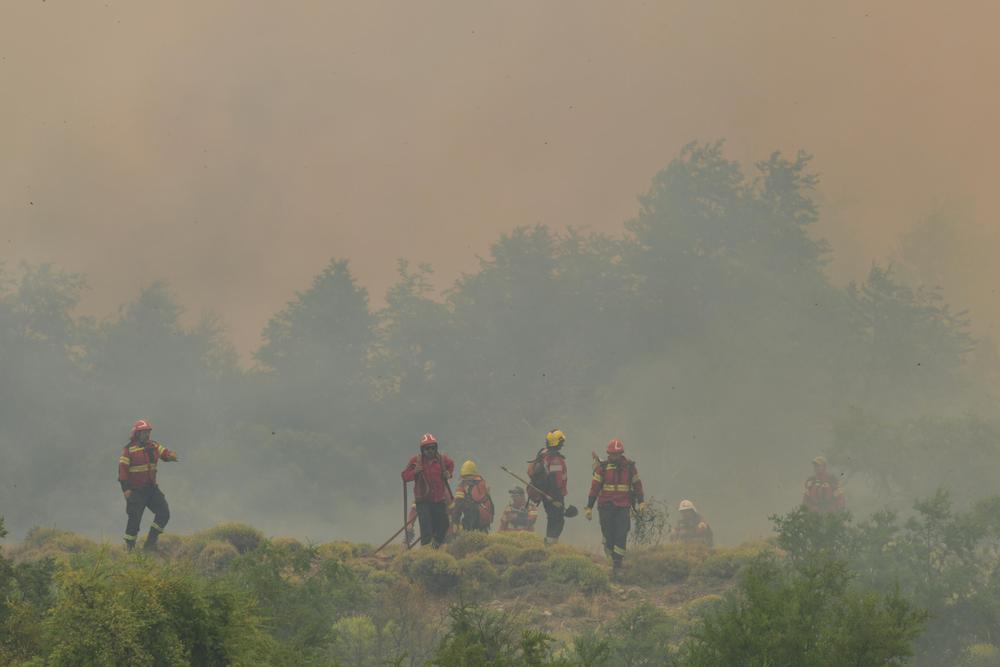 Incendio cordillera (4)